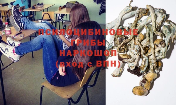 соль ск Алзамай
