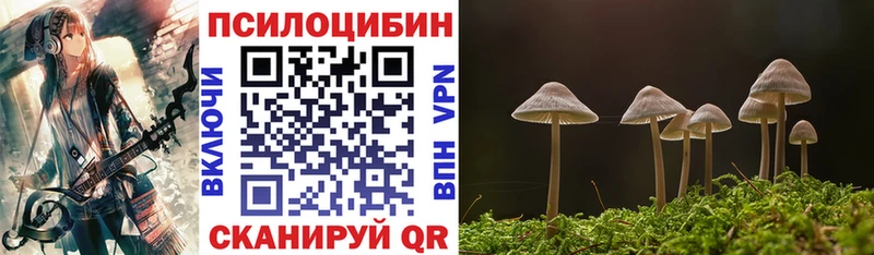 продажа наркотиков Челябинск Галлюциногенные грибы Psilocybine cubensis