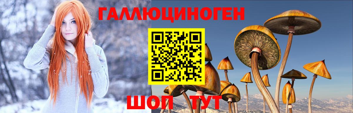 Галлюциногенные грибы мухоморы Челябинск